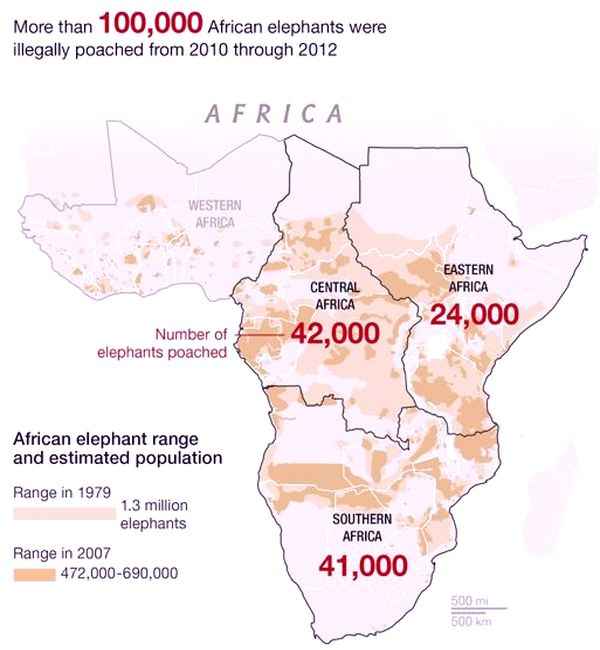 Сокращение численности слонов в Африке с 1979 по 2007 год из-за браконьерства